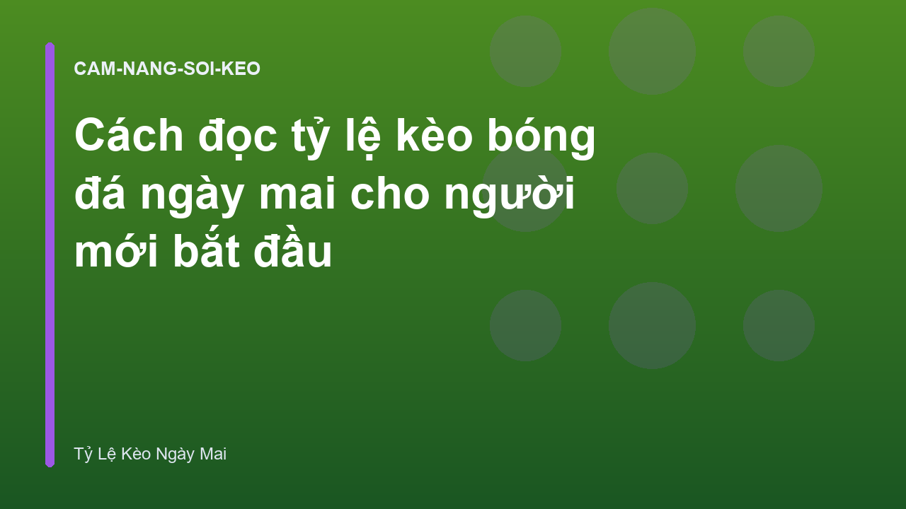 Read more about the article Cách đọc tỷ lệ kèo bóng đá ngày mai cho người mới bắt đầu