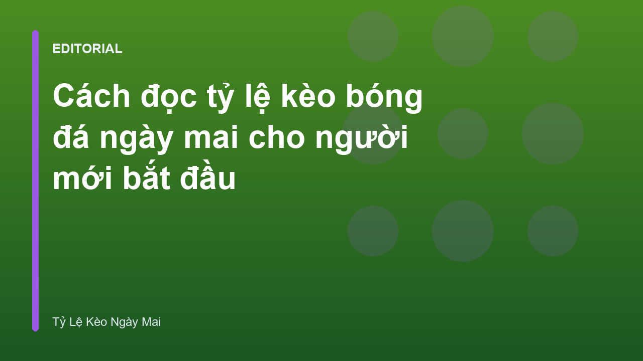 Hướng dẫn cách đọc tỷ lệ kèo bóng đá ngày mai